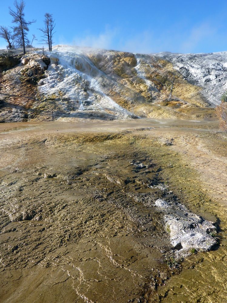 Yellowstone Mammoth Hotsprings (18).JPG